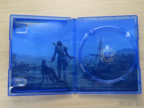 Arte no berço da capa do Fallout 4 (PS4)