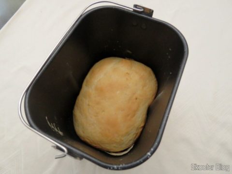 O sexto pão: Pão Branco Tradicional feito no Ciclo Normal com Casca Clara