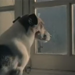 Comercial de Doação de Órgãos