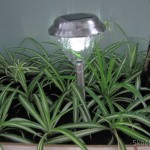 Lâmpada de Jardim de Aço Inoxidável com Luz de LED Branca Auto-Recarregável com Energia Solar (1*AA) (Stainless Steel Solar Powered Self-Recharged LED White Light Lawn Lamp (1*AA)) instalada e em funcionamento à noite. Luz branca na antiga remessa.