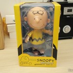 Charlie Brown - Action Figure, em sua embalagem